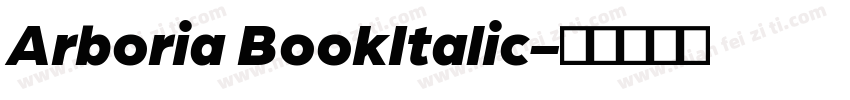 Arboria BookItalic字体转换